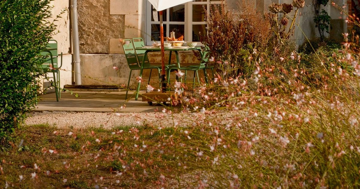 Organising a yoga retreat in a château in Touraine