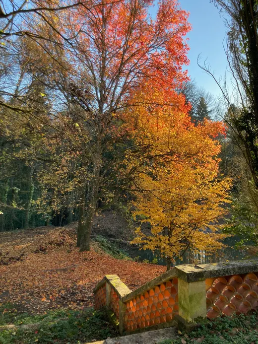 Les arbres du parc en couleurs d'automne, devant un mur de pierre