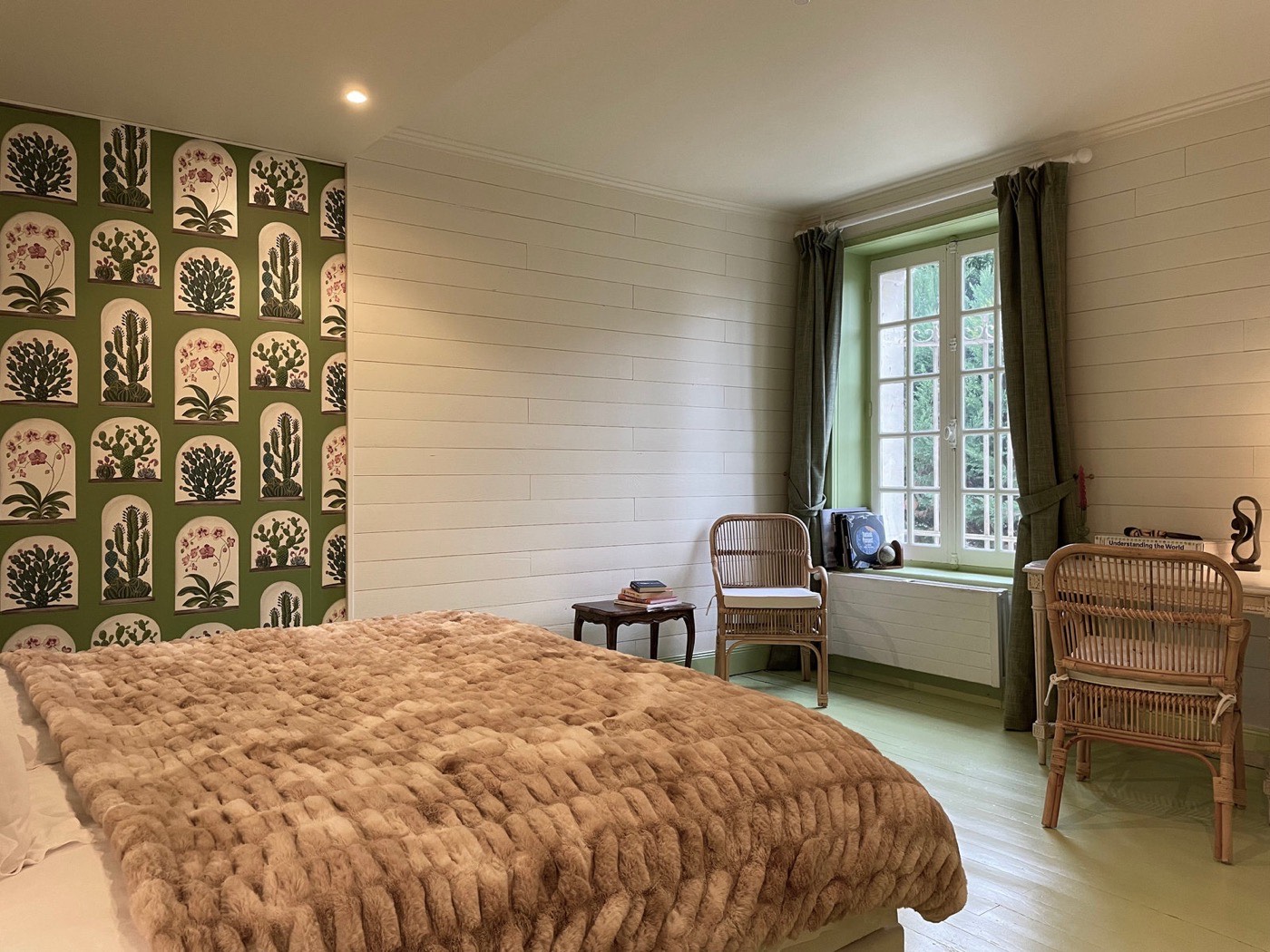 Chambre Cactus · photo 3